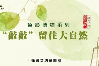 嘉兴美术馆